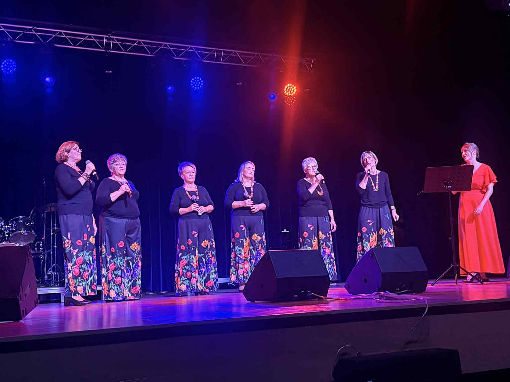 występ zespołu na scenie