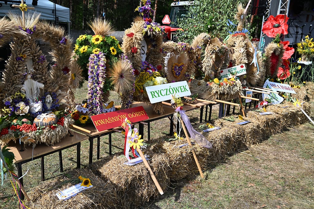 wieńce